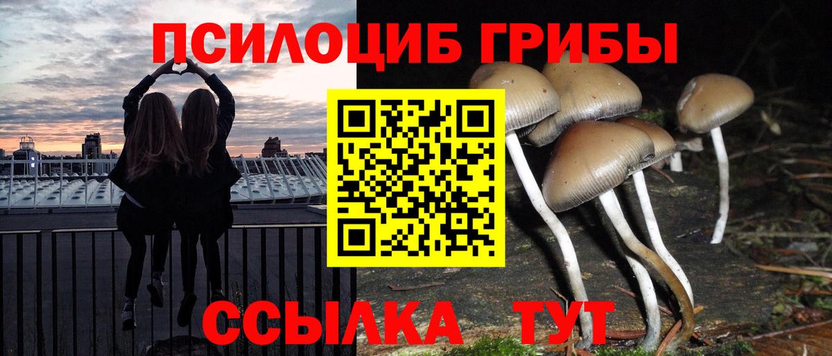 Галлюциногенные грибы MAGIC MUSHROOMS  Галлюциногенные грибы MAGIC MUSHROOMS  где можно купить   Шелехов  Вход с VPN 